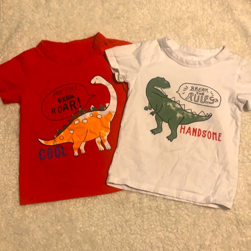 Boys Dino T-Shirts